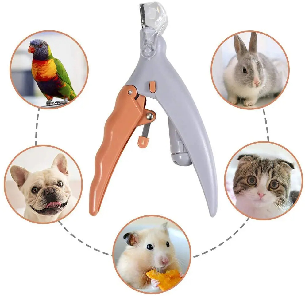 Grooming Scissors - Tijeras profesionales para cortar uñas de