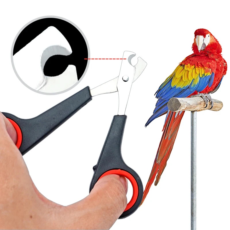 Tijeras para uñas de mascotas  - Grooming Scissors reseña y precio